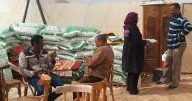 زراعة الوادى الجديد: 42 ألف زريعة بحالة جيدة بمشروع الاستزراع السمكى بالخارجة