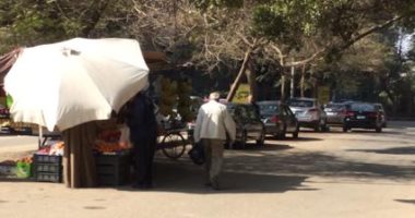 قارئ يشكو سرقة الباعة الجائلين للكهرباء بشارع الجزائر أمام حى العجوزة