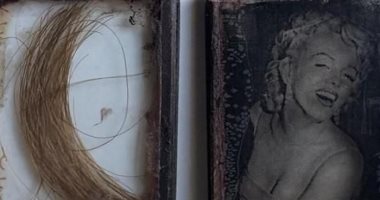 من نص مليون دولار وانت طالع..  تعرف على أغلى خصلات شعر لمشاهير العالم