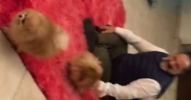 بعد عودته من السفر.. أحضان وقبلات بين خالد الصاوى وكلابه ..فيديو وصور