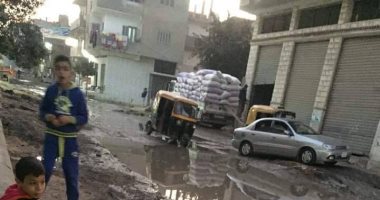 شكوى من انتشار مياه الصرف الصحى بقرية الحملية فى أبو حماد بالشرقية