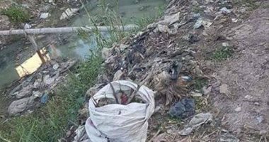 قارئ يعانى من وجود مصرف صرف صحى يسبب الأمراض بقرية الطواحنية بكفر الشيخ