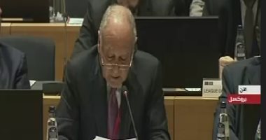 أبو الغيط: انعقاد أول قمة عربية أوروبية فى مصر نهاية الشهر الجارى