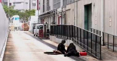 تفاصيل العثور على قنبلة من الحرب العالمية الأولى بشحنة بطاطس.. فيديو وصور
