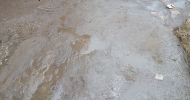 صور.. سقوط أمطار متوسطة بمحافظة الشرقية