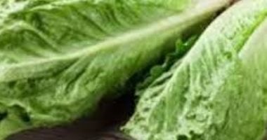 دلع جسمك بالخس.. هيخسسك ويحمى جنينك فى الحمل