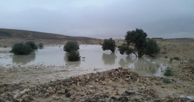 مشروع قانون الرى الجديد يساهم فى تعزيز الاستفادة من مياه الأمطار..اعرف التفاصيل