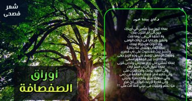 دار كليوباترا تصدر ديوان "أوراق الصفصافة" لـ ميادة السيسى