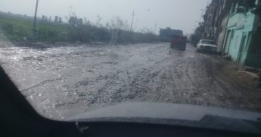 أهالى عزب الليسا فى الدقهلية يطالبون برصف طريق الجمالية