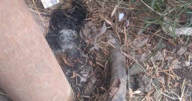 صور.. مدرسة الخصوص الثانوية بنين بلا كهرباء بأول يوم دراسة