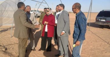 نائب محافظ الوادى الجديد تتفقد مشروع مجمع الصوب الزراعية بالداخلة