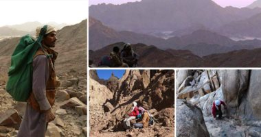 "المشى عافية الأبدان".. دروب الـhiking فكر جديد يضع مصر على خريطة سياحة المغامرة.. درب البحر الأحمر: البدو دليلك فى رحلة نحو سلاسل الجبال والحياة البرية النادرة.. وآثار الإمبراطورية الرومانية تصطحبك للماضى