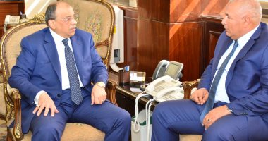 وزير التنمية المحلية يعقد اجتماعًا مع محافظ الوادى الجديد لبحث ملفات التنمية