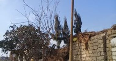 قارئ يطالب بتغيير أعمدة الكهرباء بعزبة عمر بن الخطاب بالشرقية لخطورتها