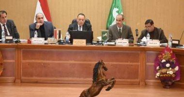 محافظ الشرقية يجتمع بمجلس إدارة المناطق الصناعية لبحث وحل مشاكل المستثمرين 