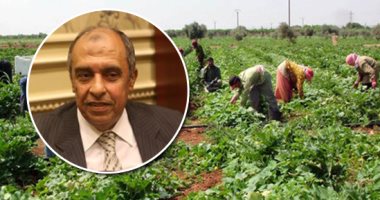 7 خطوات ضمن خطة الدولة لتطوير قطاع الزراعة فى مصر.. تعرف عليها