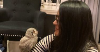 أنا أحبه كثيرا.. شاهد جلسة تصوير للفنانة سلمى حايك مع البومة