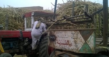 قارئ يطالب بتوسعة الطريق الوحيد المؤدى لـ6 قرى بمركز قوص فى قنا