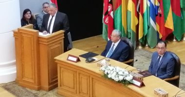 نائب رئيس المحكمة الدستورية: إطلاق شبكة إلكترونية بين المحاكم العليا بإفريقيا