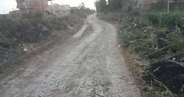 أهالى عزبة الشعيرة يناشدون محافظ الدقهلية لرصف الطرق وتركيب أعمدة الإنارة      