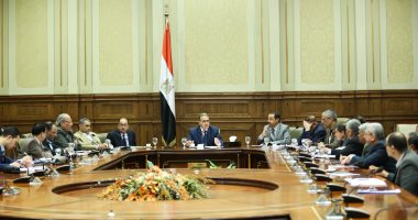"محلية البرلمان" تناقش طلب إنشاء قرية الصيادين ببحيرة المنزلة فى الدقهلية