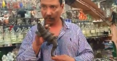 عمرك سمعت صوت تمساح؟ طب تاخد طاقة سلبية؟ أشهر فيديوهات السوشيال ميديا