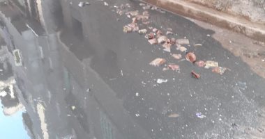 صور.. شكوى من تراكم مياه الأمطار والصرف الصحى بأحد شوارع المنزلة