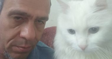 أنا وأليفى..طلعت يرسل صورته مع قطته.. ويؤكد: "لولو معايه في الغربه من ١٠ سنين"