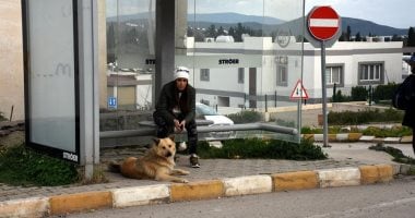 وهما اتخلوا عنه.. قصة كلب بيستنى أصحابه فى نفس المكان لمدة عام كامل