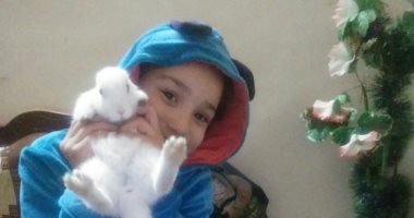 أنا وأليفى.. رنا تعشق الأرنب فرحان".. ووالدها "لما بيموت بشترى غيره"