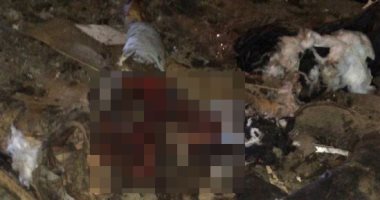 التحفظ على مواد تستخدم فى صناعة المواد المتفجرة داخل منزل إرهابى "الدرب الأحمر"