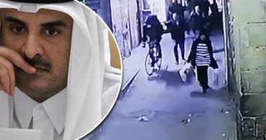 رئيس الاتحاد العام للمصريين فى النمسا: كل من يتخذ مصر عدواً سيدفع الثمن