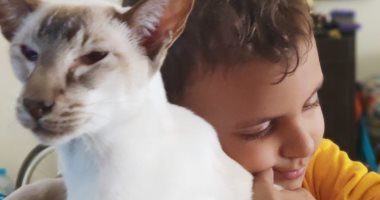 أنا أليفى.. راين يشارك من موسكو: "قطتى أغلى حاجة عندى"