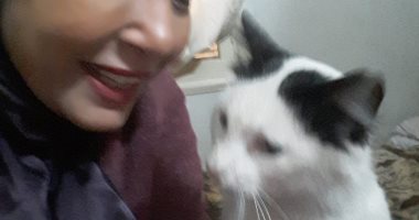 أنا وأليفى.. أمل ترسل صورتها مع قطتها: ربيتها فى البيت عندى