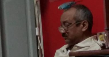 أنا وأليفى.. طارق وعصفوره أشرف حب فى كل الأوقات