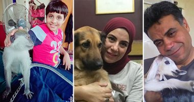 أنا وأليفى "روحين فى زكيبة".. قصص حب يرويها قراء "اليوم السابع" مع حيواناتهم.. عصفور يشارك صديقه قراءة الجرنال.. ورشا اشترت نسناسة وطلعت حامل.. وهجرس يحب رشيدة.. وجهاد يقع فى غرام السمكة ورنا تعشق الأرانب