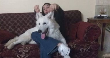 كاميليا تشارك بصور كلبها "مسك" وتؤكد: "بيساعدنى على المذاكرة"