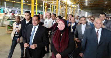محافظ البحيرة ورئيس جهاز تنمية المشروعات يتفقدان المنطقة الصناعية بوادى النطرون