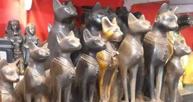 بالنسبة لهم مش نحس.. السياح يشترون "القط الأسود" لجلب الحظ