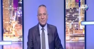 "متحدث الرئاسة": القمة العربية الأوروبية فرصة جيدة للحوار الفعال
