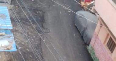 قارئ يشكو من سوء الرصف بشوارع قرية الدلجمون فى الغربية