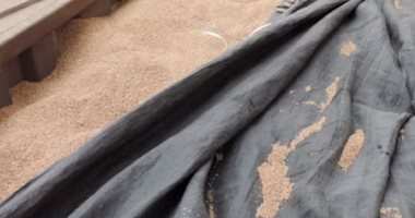 وسائل إعلام: إيران تقر استيراد 3 ملايين طن من القمح