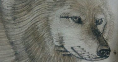 صور.. سارة بنت الزاوية تشارك بموهبتها فى الرسم وتحلم بالتخرج ومرسم خاص