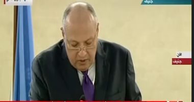 وزير الخارجية: أقمنا أكبر مسجد وكاتدرائية لمنع أى تفرقة على أساس دينى