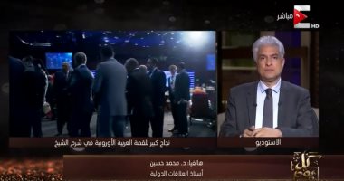 خبير علاقات دولية: القمة العربية الأوروبية دليل كبير على نجاح الدبلوماسية المصرية