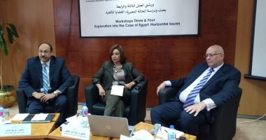 خبير: 61% من الشركات المصرية ليس بها نظم كافية لحماية أمن المعلومات
