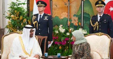 قرقاش: زيارة محمد بن زايد لسنغافورة مثمرة والإمارات شريكها الأول فى الشرق الأوسط