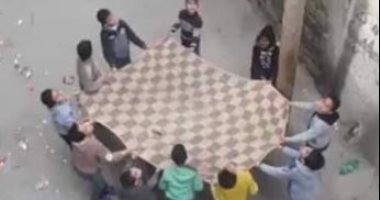 صور.. ماذا فعل أطفال غزة لإنقاذ قطة من على عمود كهرباء؟