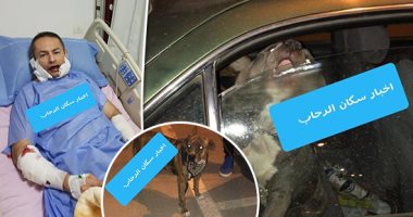 "عضة كلب" صداع مزمن فى رأس سكان القاهرة الجديدة.. كلبان يعقران شابا فى التجمع.. "الشرسان" تركا طليقان بالشارع دون سلاسل.. أصابا عمر الجندى بتهتك فى العظام.. وأحد المارة أنقذه بسيارته.. وخضع لأكثر من عملية.. صور
