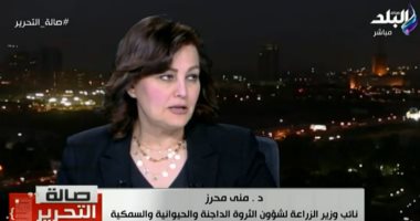 الزراعة: لدينا مجازر تكفى ذبح 3 ملايين طائر يوميا.. وننتج مليار طائر سنويا